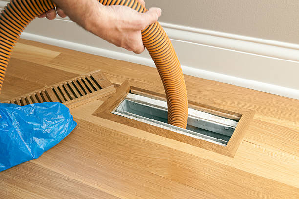 Best Air Duct Cleaning Company Near Me  in Ives Estates, FL