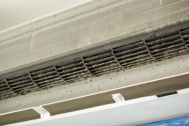 Best Affordable HVAC Duct Cleaning  in Ives Estates, FL